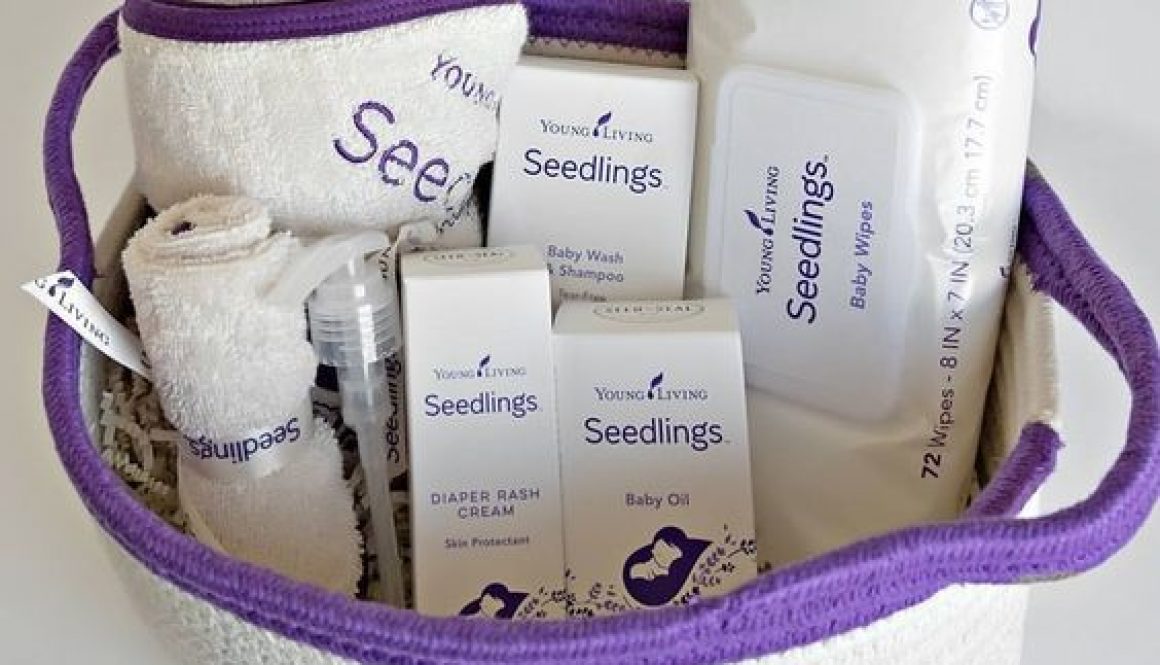 seedlings in a basket
